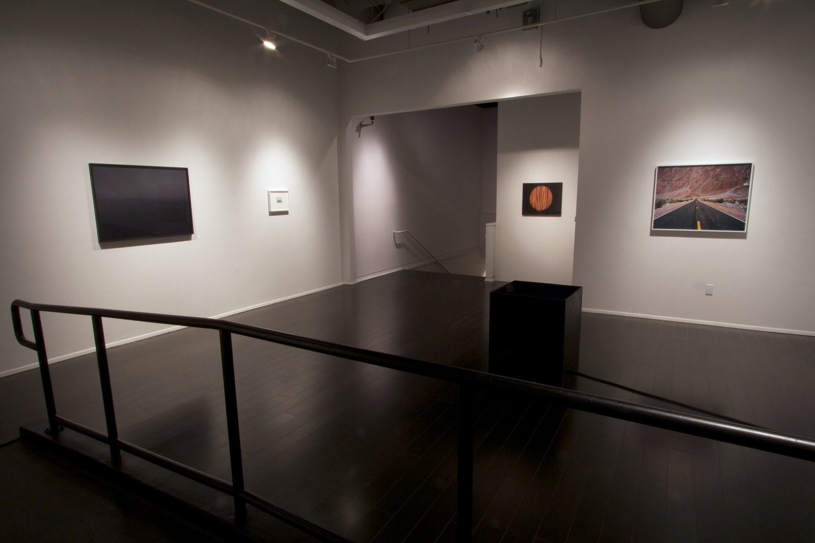 Better a Live Ass Than a Dead Lion — installation view, Eli Ridgway Gallery, 2011