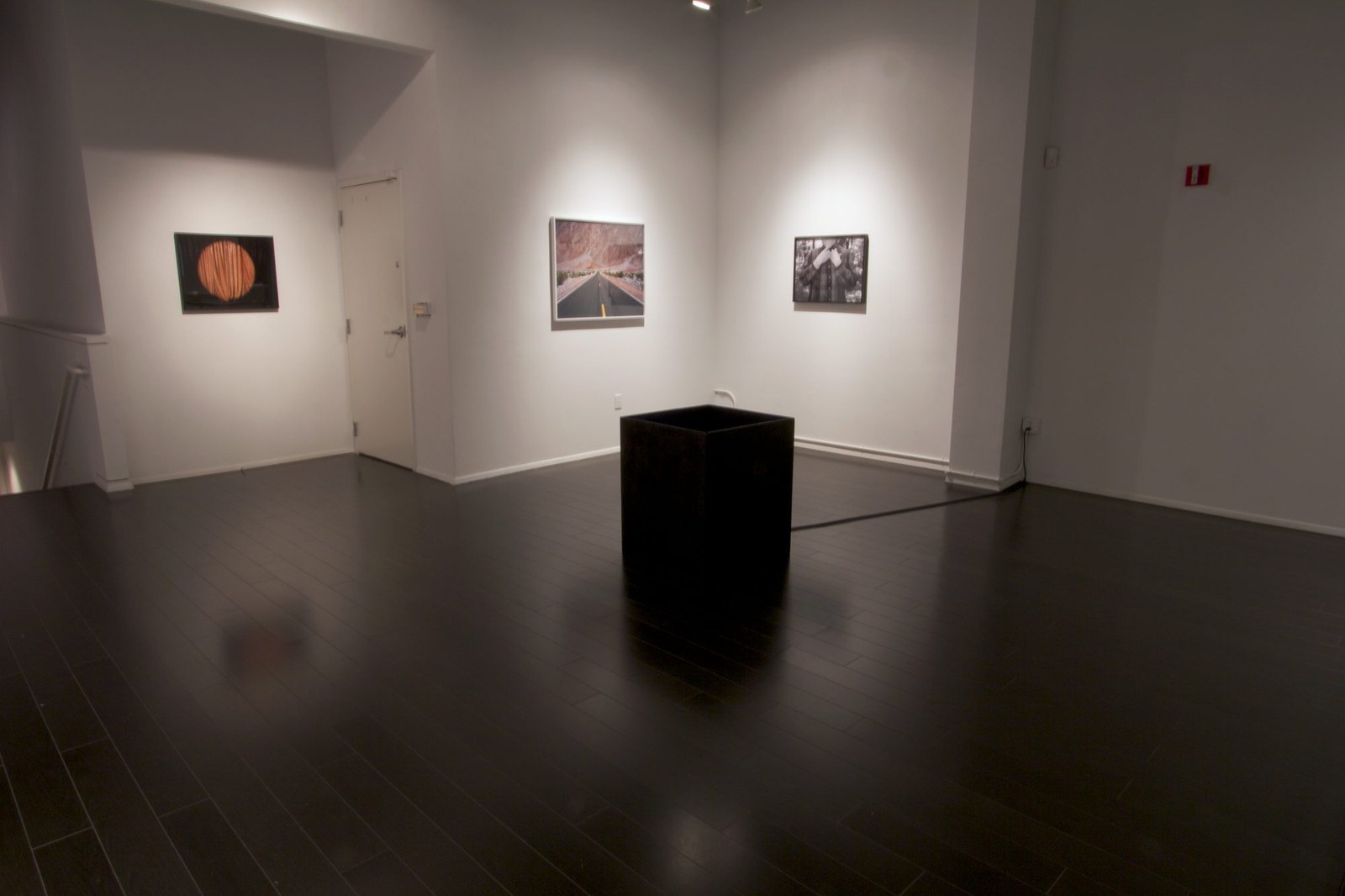 Better a Live Ass Than a Dead Lion — installation view, Eli Ridgway Gallery, 2011