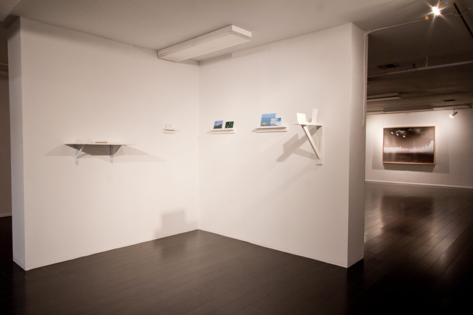 Better a Live Ass Than a Dead Lion — installation view, Eli Ridgway Gallery, 2011