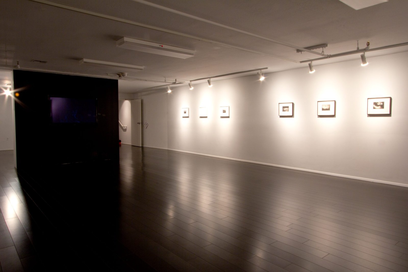 Better a Live Ass Than a Dead Lion — installation view, Eli Ridgway Gallery, 2011