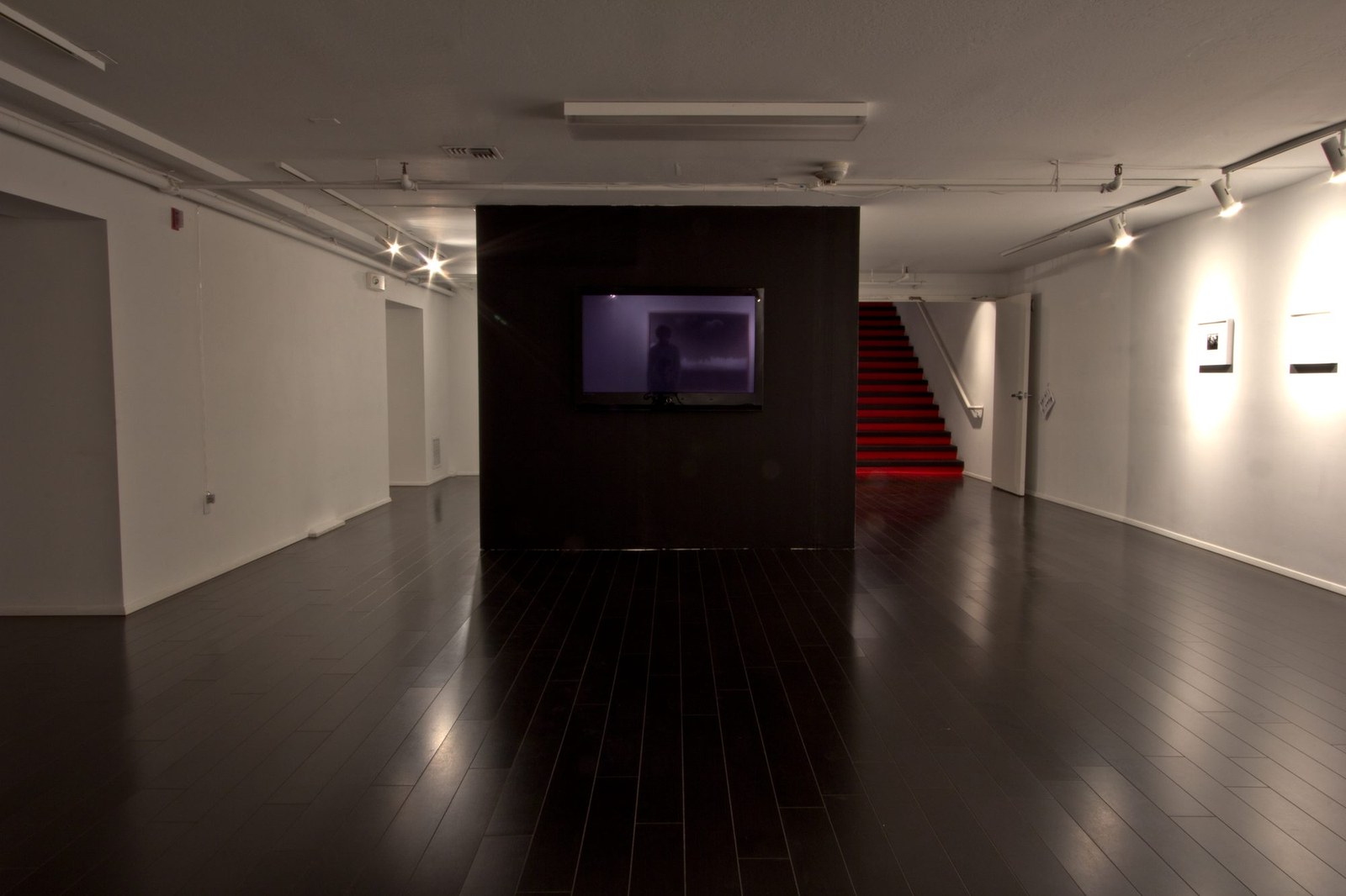 Better a Live Ass Than a Dead Lion — installation view, Eli Ridgway Gallery, 2011