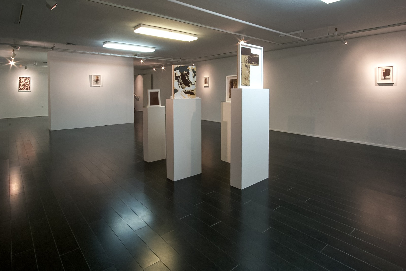 Brion Nuda Rosch — New Works, installation view