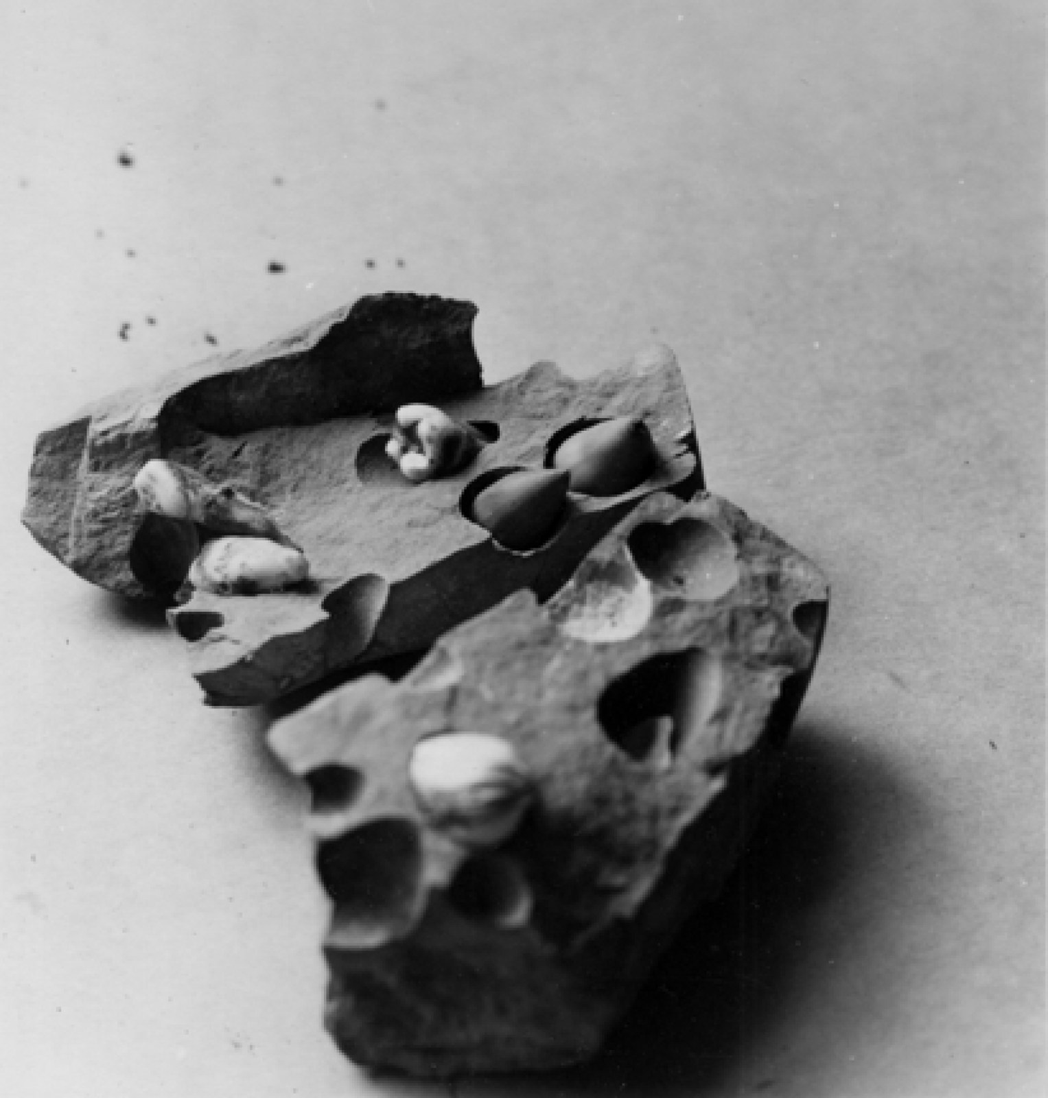 Jay DeFeo — Untitled, 1972