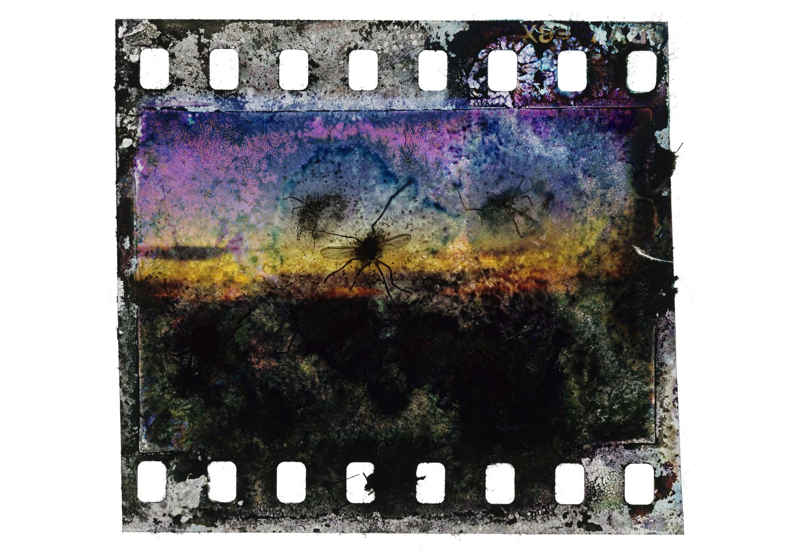 Wolfgang Ganter — Sundown