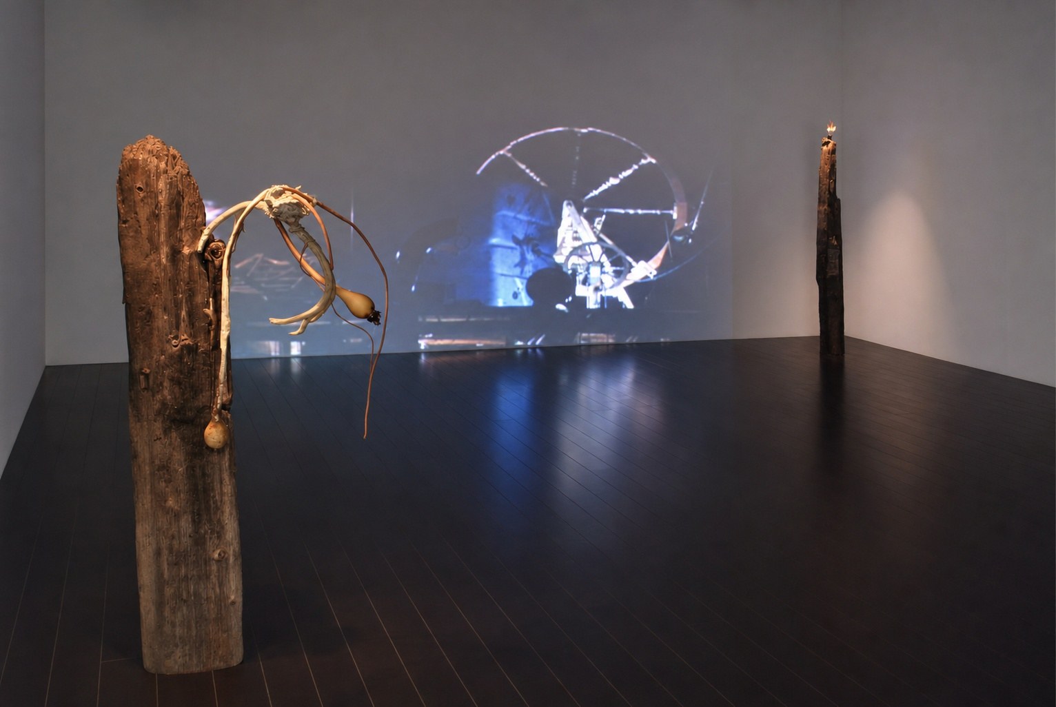 Wolfgang Ganter — Seasick, installation view, Eli Ridgway Gallery, San Francisco