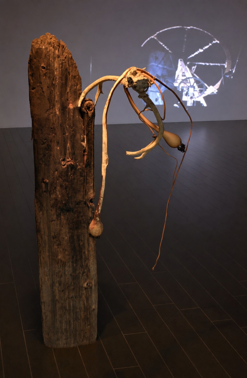 Wolfgang Ganter — Seasick, installation view, Eli Ridgway Gallery, San Francisco